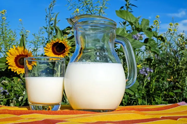 Экспорт молочной продукции Москвы вырос на 54,9% 