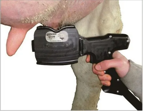 фотография продукта Мастер-Массажист- для чистки соска коров